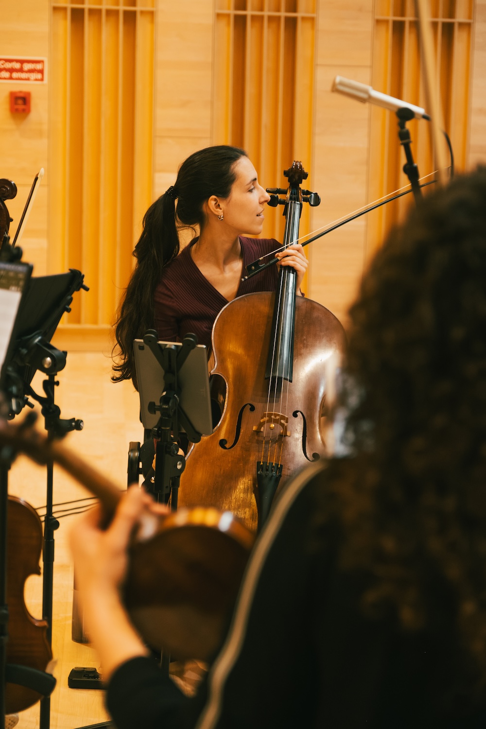 Cravos & Cordas - Gravações